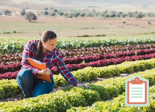 Gerber Research Farms